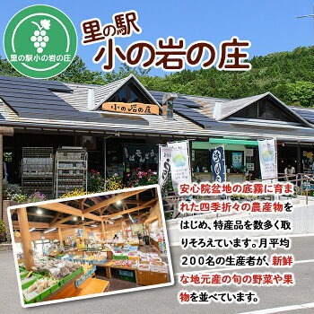産地直送！宇佐のお米と季節の野菜詰合せ(お米5kg＋野菜詰め合わせ)米 お米 野菜 季節の野菜 詰合せ 安心院産 大分県産 勝負めし 【103700102】【小の岩の庄】