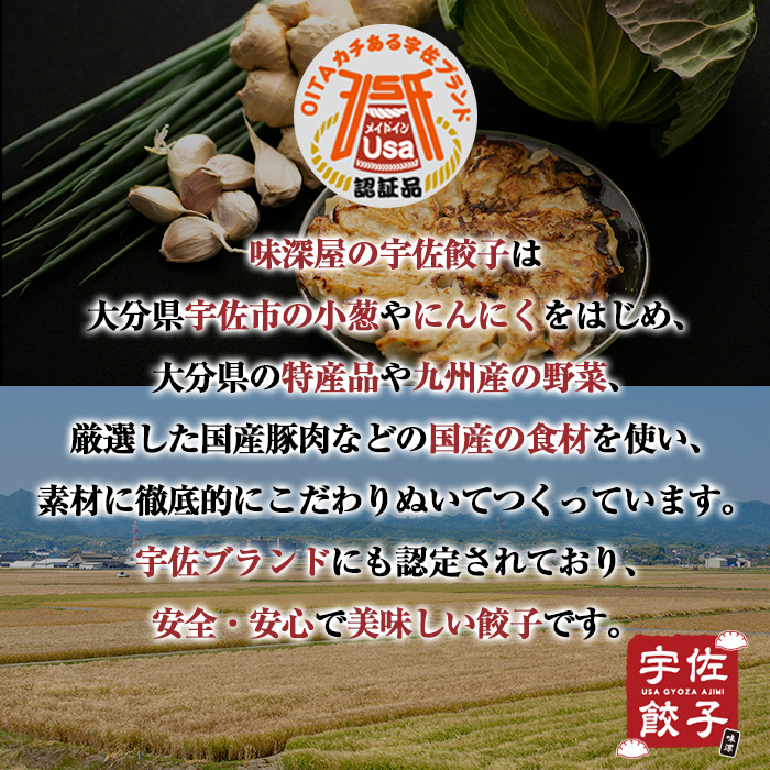 味深屋の宇佐餃子よりどりセット(合計12袋・5種)餃子 ぎょうざ 簡単 惣菜 おかず おつまみ 簡単調理 焼くだけ 食べ比べ セット【104200200】【ＮＰＯ法人 結び恵会】