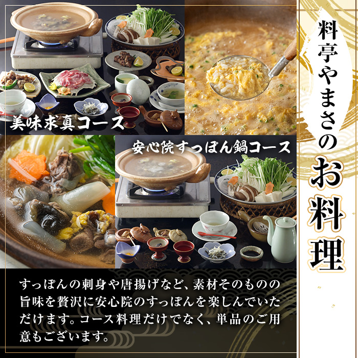 料亭やまさ旅館 お食事&ご宿泊券(30,000円分) スッポン すっぽん 商品券 宿泊 食事 旅館 勝負めし【105900900】【やまさ】