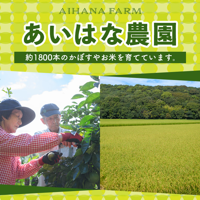 露地カボス(約5kg)かぼす カボス 柑橘 特産品 大分県産【107100402】【あいはな農園】