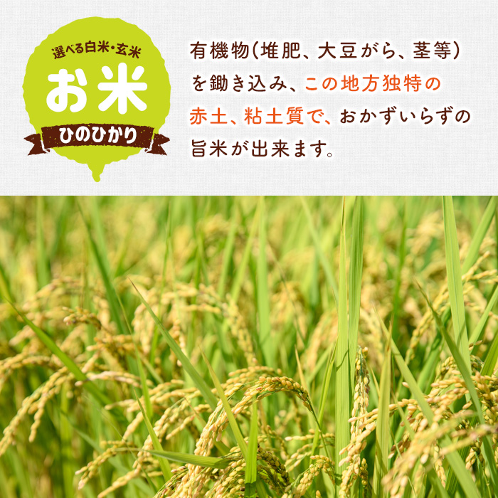 ＜令和7年産・新米＞ひのひかり 玄米 (5kg) お米 ごはん ご飯【107101302】【あいはな農園】