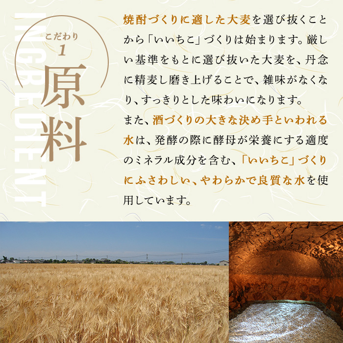 いいちこ下町のハイボール缶(計8.4L・350ml×24本)酒 お酒 いいちこ ハイボール アルコール 飲料 常温【107300700】【時枝酒店】