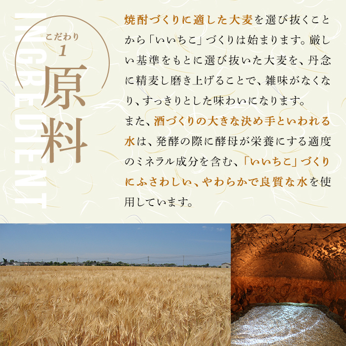 いいちこ カップ 25度(計6L・200ml×30本) 酒 お酒 むぎ焼酎 麦焼酎 常温 いいちこ 三和酒類 カップ【107305800】【時枝酒店】