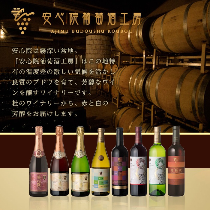 安心院スパークリングワイン赤(計750ml)酒 お酒 ワイン 赤ワイン スパークリングワイン ぶどう 葡萄 飲み比べ セット スピード発送 【107306800】【時枝酒店】