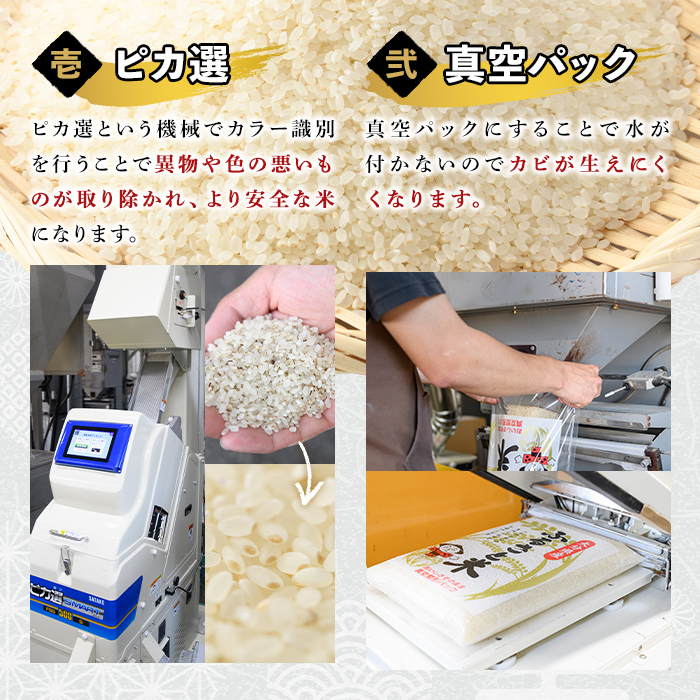 ＜新米・令和7年産＞大分県産ひのひかり 胚芽ビタミン米(計6kg・3kg×2パック)米 お米 ひのひかり ヒノヒカリ 白米 真空パック 大分県産【107800202】【お米の鈴木】