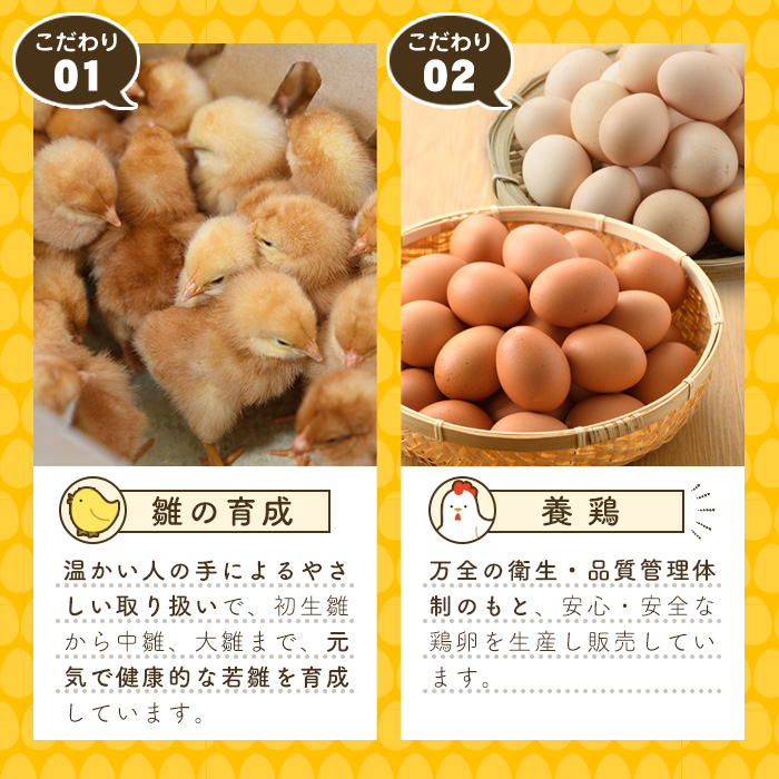 平飼い卵 なちゅら(計30個・10個×3P) 卵 玉子 鶏卵 卵かけご飯 玉子焼き【108800400】【カジワラファーム】