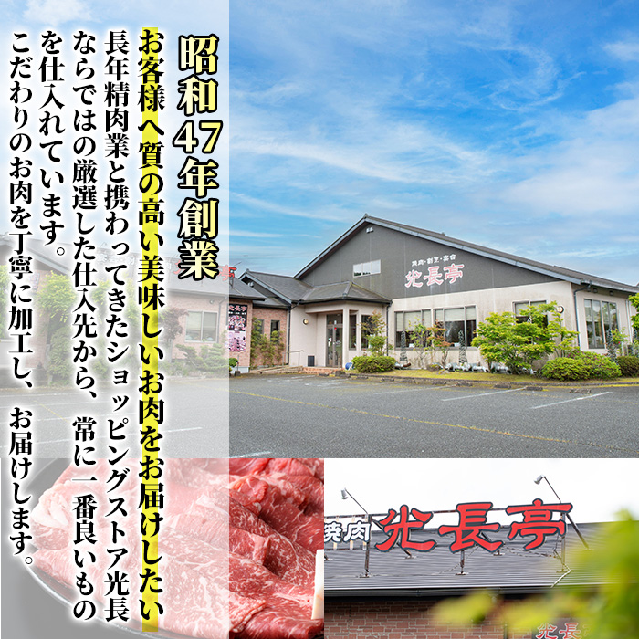 豊後牛ミックスホルモン+タンセット 光長亭 特製タレ付(合計700g+250ml)牛肉 お肉 牛たん タン ホルモン センマイ ハツ 焼肉のたれ【109900300】【ショッピングストアー光長】