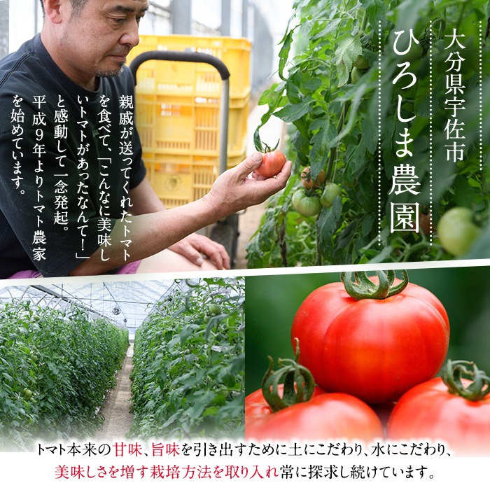 ＜先行予約受付開始！2026年3月下旬から順次発送予定＞フルーツトマト(1kg)トマト 野菜 期間限定 数量限定【110000101】【ひろしま農園】