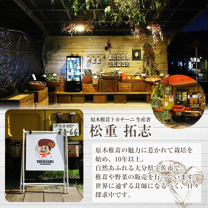 トヨチーニペースト プレーン・バジル(各1個・合計180g) 椎茸 しいたけ シイタケ 調味料 ディップソース バゲット パスタソース 【110300701】【松重　拓志】