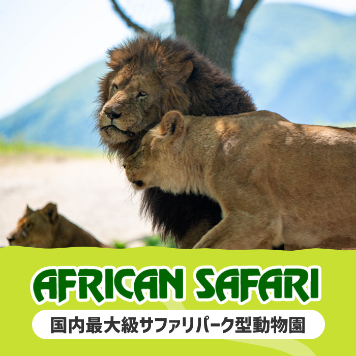 アフリカンサファリ入園券とオリジナルクリアファイルのセット(入園券(大人1枚・小人1枚)とクリアファイル)チケット 動物園 サファリパーク形動物園 家族旅行 デート 観光【110600400】【九州アフリカ・ライオン・サファリ】