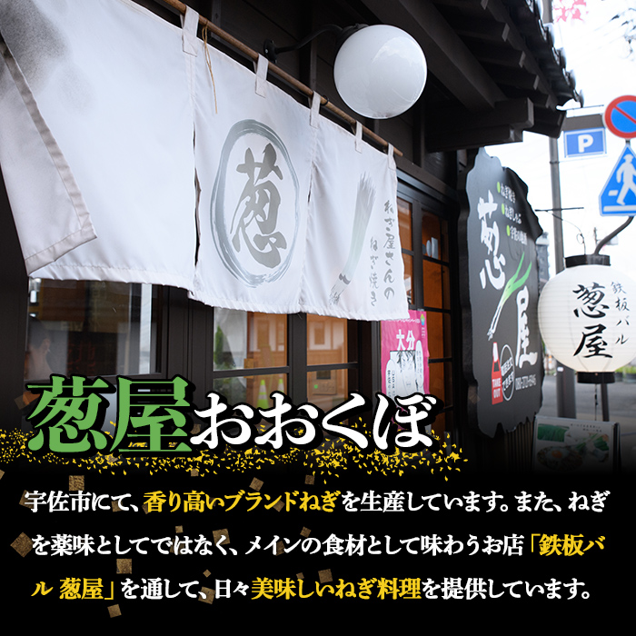 鉄板バル葱屋の ねぎしゃぶセット(2～3人前)ねぎしゃぶ しゃぶしゃぶ 豚肉 ぶた肉 ぶたにく お肉 鍋セット 乾麺 出汁 だし ポン酢 勝負めし【110700500】【葱屋おおくぼ】