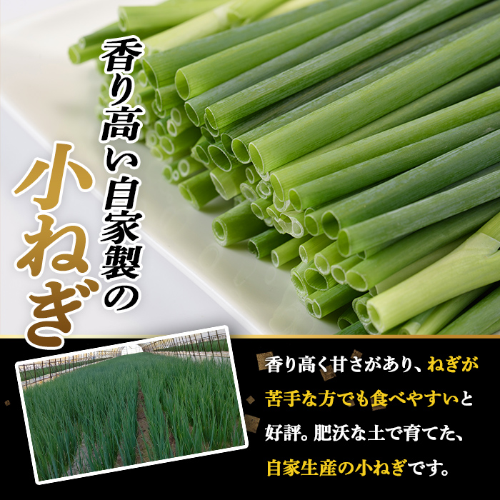 鉄板バル葱屋の ねぎしゃぶセット プレミアム (2～3人前) ねぎしゃぶ しゃぶしゃぶ 牛肉 お肉 鍋セット 乾麺 出汁 だし ポン酢 勝負めし 【110700700】【葱屋おおくぼ】