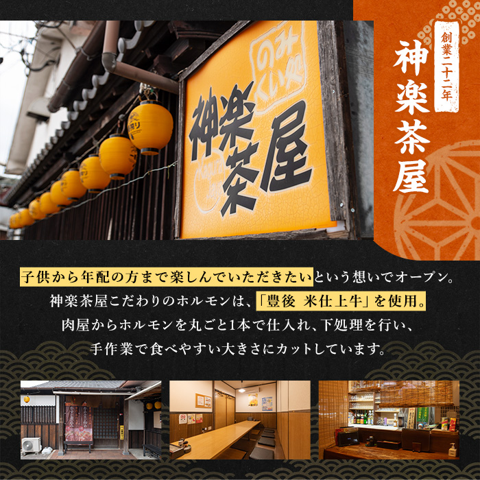 豊後米仕上げ牛 牛すじ煮込み(計750g・250g×3パック)牛肉 お肉 おかず おつまみ 小分け 簡単調理 時短 冷凍 惣菜【111100201】【神楽茶屋】