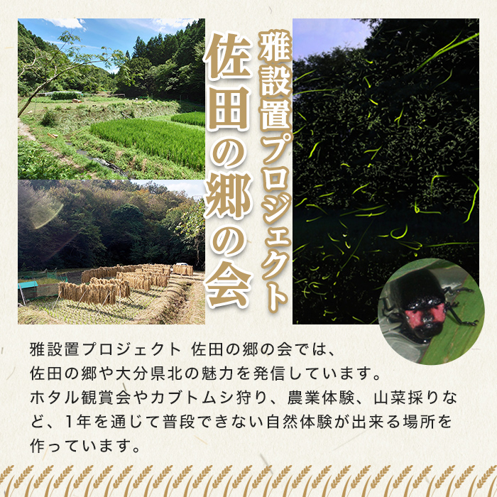 ＜令和7年産＞佐田の郷の米 慣行栽培米(2.5kg) お米 白米 ごはん ヒノヒカリ ひのひかり ブランド米 常温 常温保存【111701000】【雅設置プロジェクト　佐田の郷の会】
