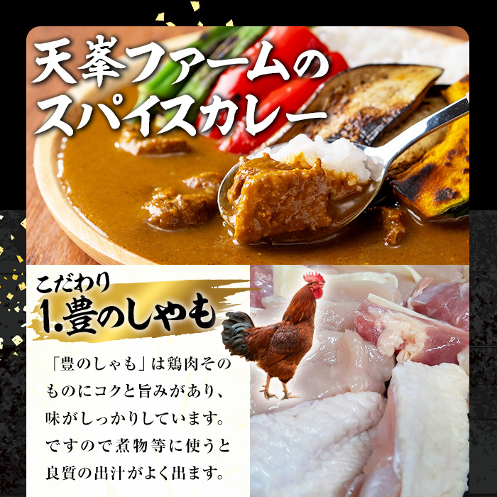 大分地鶏豊のしゃも地鶏出汁スパイスカレー(計900g・180g×5パック)レトルト 簡単調理 惣菜 時短 常温 ご当地カレー【112400301】【天峯ファーム】