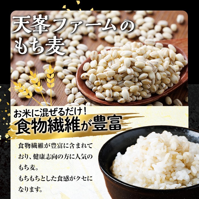 大分県産もち麦 キラリモチ(計5kg)ダイエット 健康 業務用【112400603】【天峯ファーム】