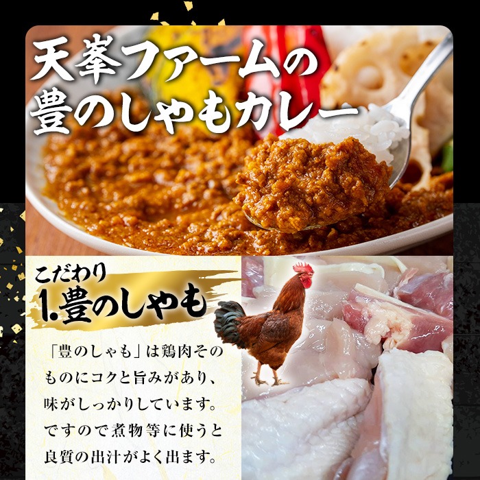 ＜訳あり・パッケージ無し混在＞大分地鶏豊のしゃもカレー「プレシャスキーマ」(合計1.5kg・150g×10パック) 鶏肉 鳥肉 とり肉 地鶏 レトルト 簡単調理【112401100】【天峯ファーム】