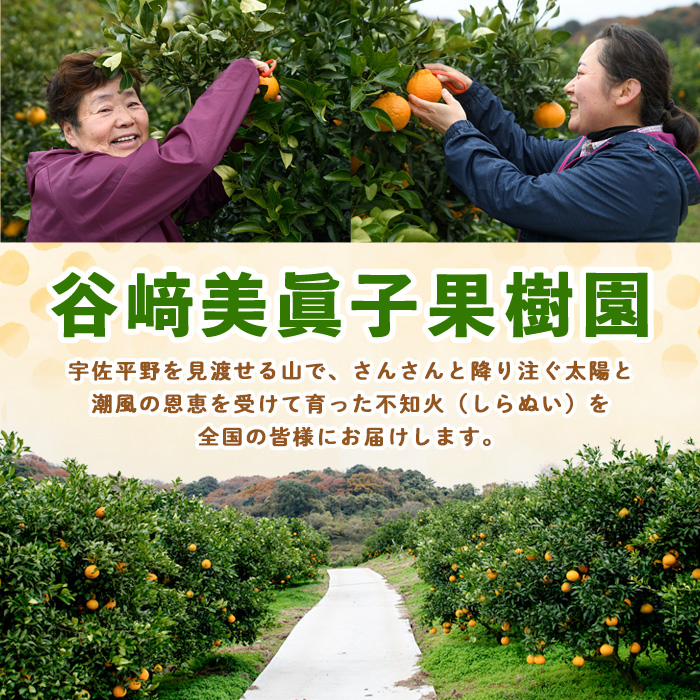 ＜先行予約受付中！2026年3月上旬～4月上旬の間に発送予定＞不知火(2L～3L・2.8kg～)みかん フルーツ しらぬい 柑橘 ミカン【113300300】【谷崎美眞子果樹園】