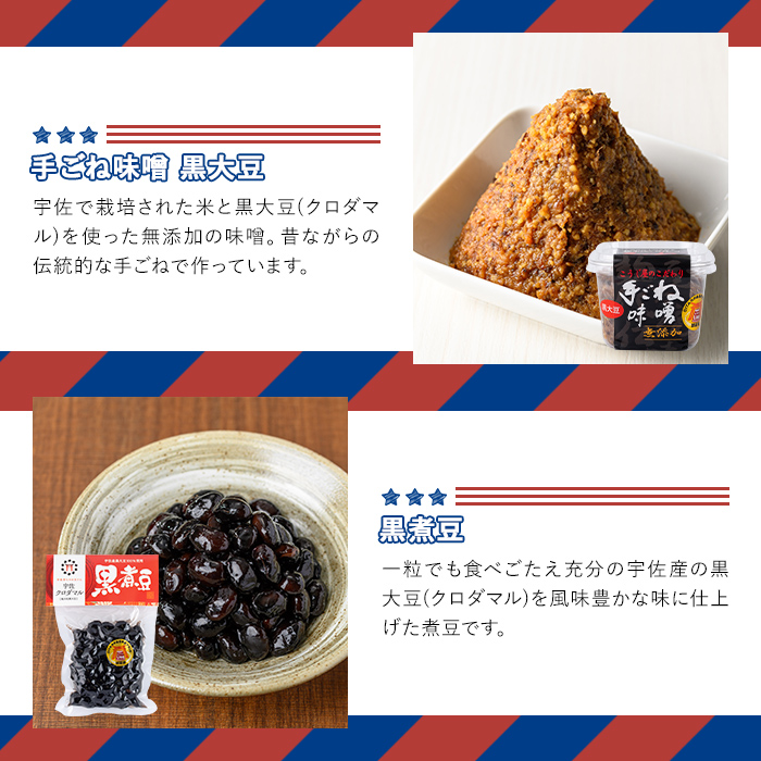 ＜期間限定＞故郷のお祝いセット THE USA Box/DX(10品)詰め合わせ 手ごね味噌 黒煮豆 はちまんの恵 黒豆きな粉 高菜漬け 鶏めし ねぎねぎ団味噌 やせうま とりちん 宇佐勝ちえび ゆずぽん酢 宇佐ブランド認証品【114000800】【一般社団法人　地域商社USA】