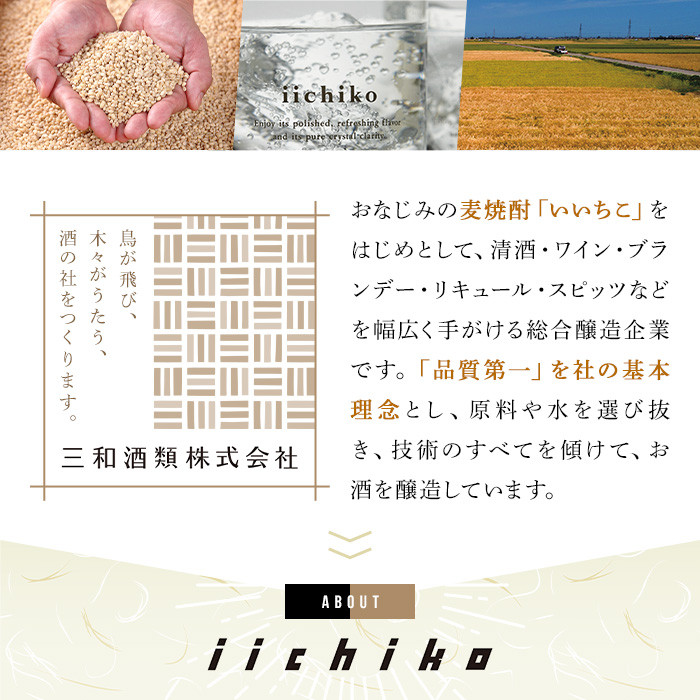 いいちこ パック 20度(1800ml×2本)酒 お酒 焼酎 麦焼酎 アルコール 紙パック 三和酒類【114003101】【一般社団法人　地域商社USA】