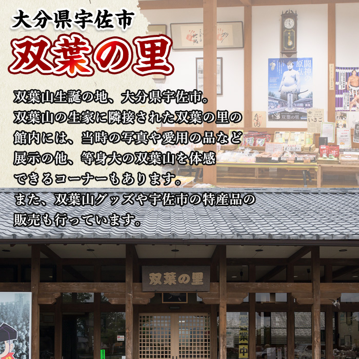 双葉山ポロシャツ・M(1点) シャツ 服 スポーツ トップス ネイビー オリジナル グッズ ファッション 男女兼用【115612100】【SFPコンサルティング】