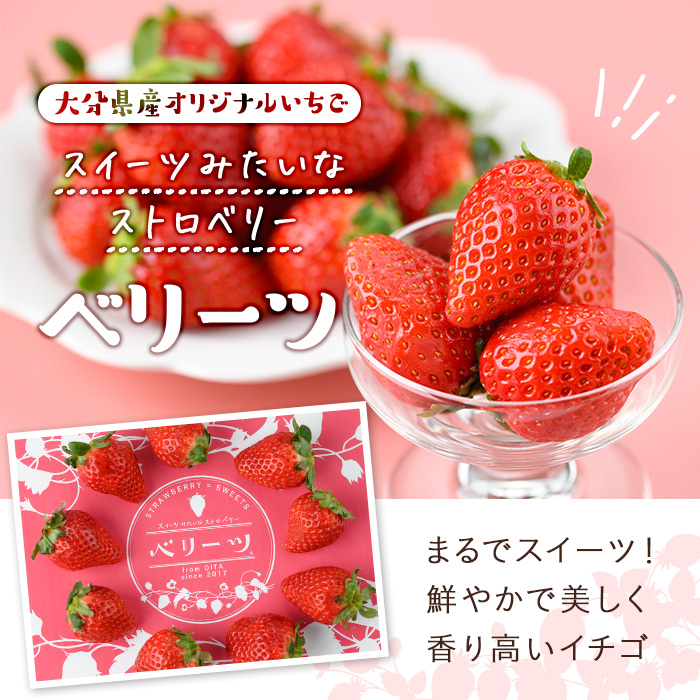 ＜先行予約受付中！2026年1月下旬～3月中旬に順次発送予定＞＜数量限定＞ベリーツ いちご (計約560g・280g×2パック) 苺 イチゴ フルーツ 果物 くだもの 果実 ベリーツ【115800300】【大分中央農産】