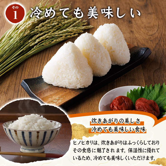 ヒノヒカリ 白米 (計10kg) お米 ごはん ご飯 ひのひかり 数量限定 【117800201】【ジョイライス大分】