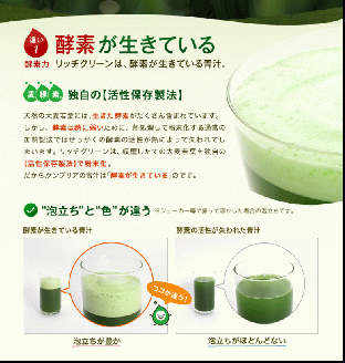 リッチグリーン＋シェーカーコップセット(計90g・3g×30P)青汁 スムージー 大麦若葉 シェーカー付き 飲料 粉末 常温【103100300】【ケンプリア】