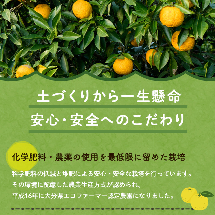 ゆず蜜セット(計900ml・300ml×3本)ゆず 柚子 自家製 果汁100％ はちみつ 蜂蜜 大分県産 セット【100600100】【櫛野農園】