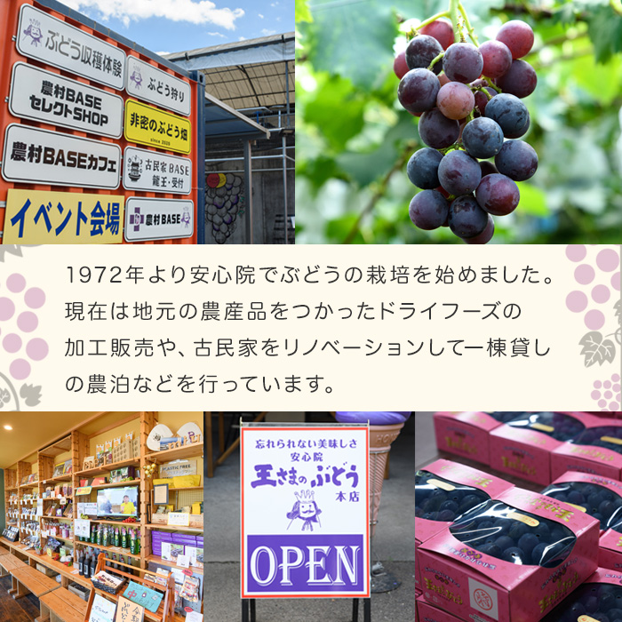 子どもと食べたい果物たちのドライフルーツ 塩分ミックス(100g) ドライフルーツ ぶどう みかん 梅干し フルーツ 果物 砂糖不使用 オイル不使用 塩分補給【100703000】【宮田ファミリーぶどう園】
