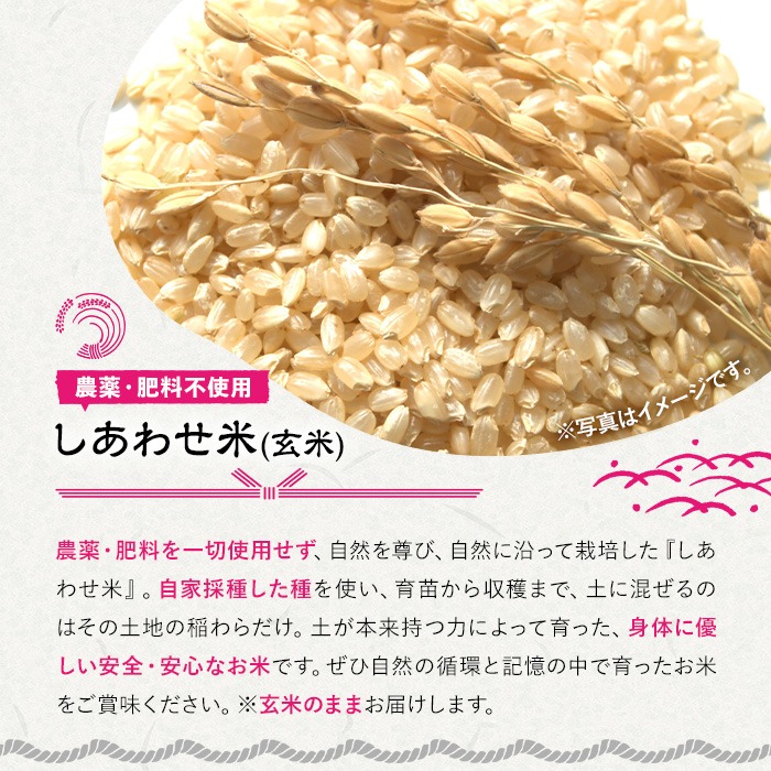 ＜先行予約受付中！11月以降発送予定＞＜令和7年産・新米＞しあわせ米 精米(計10kg・5kg×2袋) お米 白米 10キロ 常温 常温保存 【101000702】【宇佐本百姓】