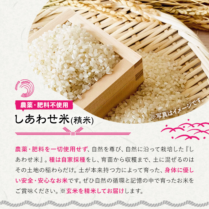 ＜先行予約受付中！12月以降発送予定＞＜令和7年産・新米＞しあわせ米 精米 真空パック(計1.8kg・900g×2袋) お米 白米 常温 常温保存 小分け【101000800】【宇佐本百姓】