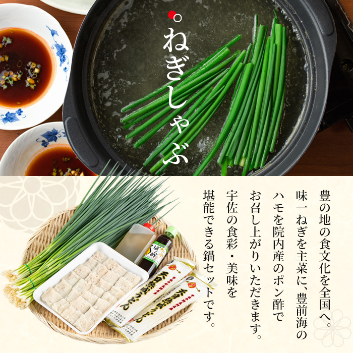 ねぎしゃぶ(鱧はも)セット(5品)ねぎしゃぶ しゃぶしゃぶ 鱧 はも 鍋 お鍋 うどん付き セット【101500201】【菊水旅館】