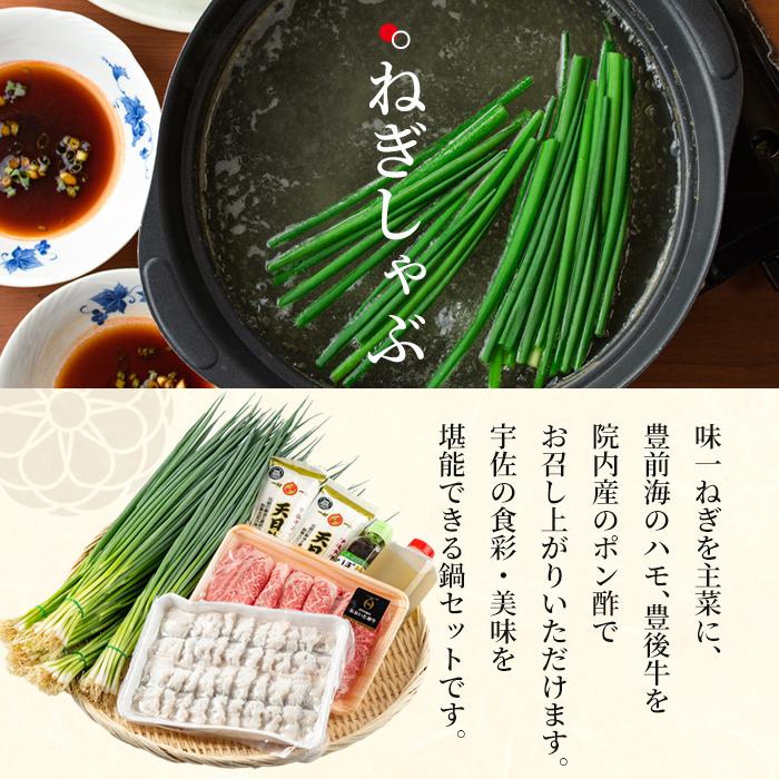 ねぎしゃぶ＋太閤からあげ(7品)ねぎしゃぶ しゃぶしゃぶ おおいた和牛 鱧 はも 鍋 お鍋 唐揚げ からあげ セット【101500501】【菊水旅館】