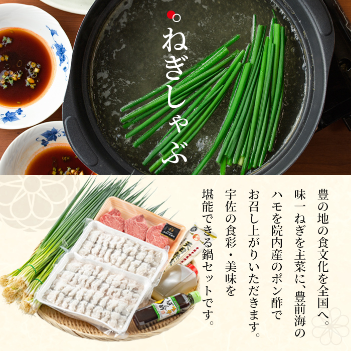 ねぎしゃぶ(鱧はも)＋ヒレステーキセット(6品)ねぎしゃぶ しゃぶしゃぶ 鱧 はも 鍋 お鍋 和牛 ヒレステーキ セット【101500601】【菊水旅館】