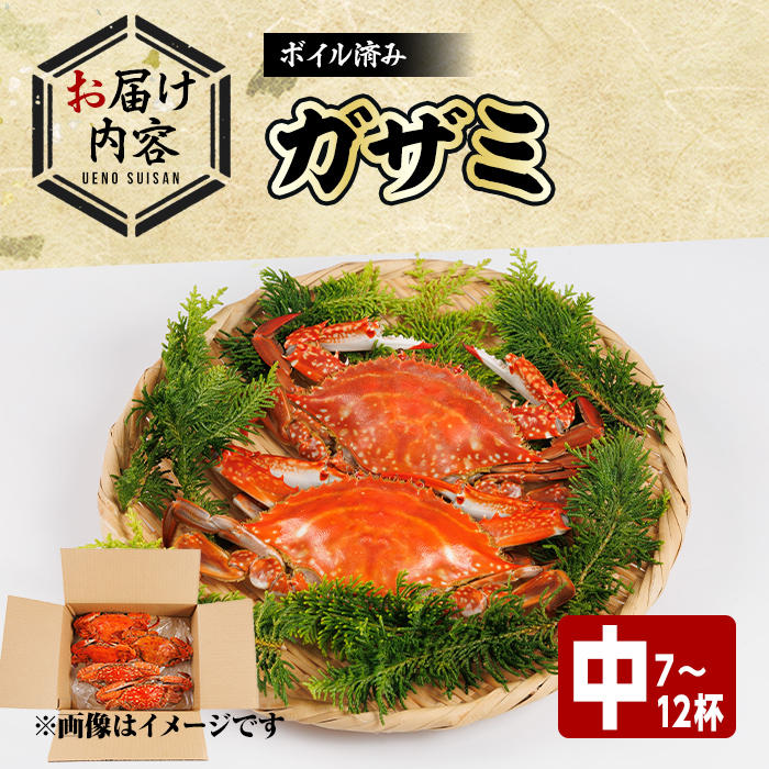 あおがざみ(計650g~700g・中サイズ) ワタリガニ　蟹 ボイル 海鮮 かに 冷凍 【101901900】【上野水産】