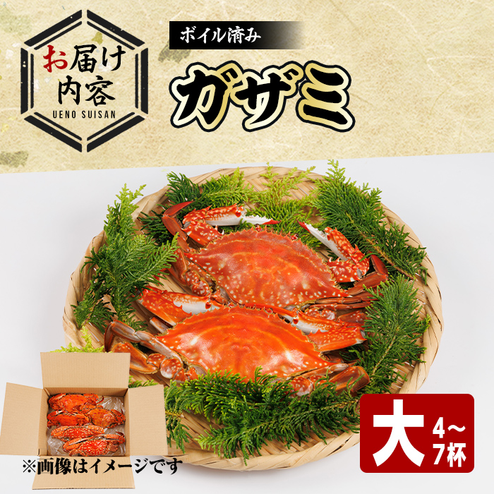 あおがざみ(計650g~700g・大サイズ) ワタリガニ　蟹 ボイル 海鮮 かに 冷凍 【101902000】【上野水産】