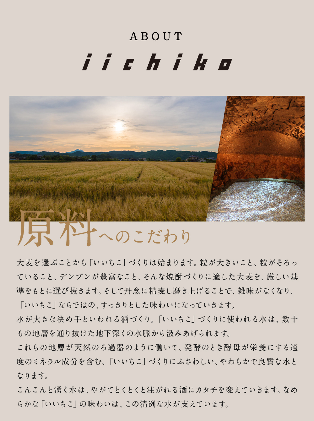 いいちこ/西の星 ビン 25度(合計1.8L・900ml×2本)酒 お酒 むぎ焼酎 900ml 麦焼酎 いいちこ 西の星 常温 三和酒類 飲み比べ ギフト 贈り物【104300900】【山添産業】