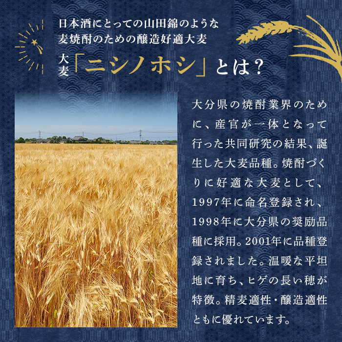 西の星 ビン 20度セット(計10.8L・900ml×12本)酒 お酒 むぎ焼酎 1800ml 麦焼酎 西の星 常温 三和酒類 セット【104304300】【山添産業】