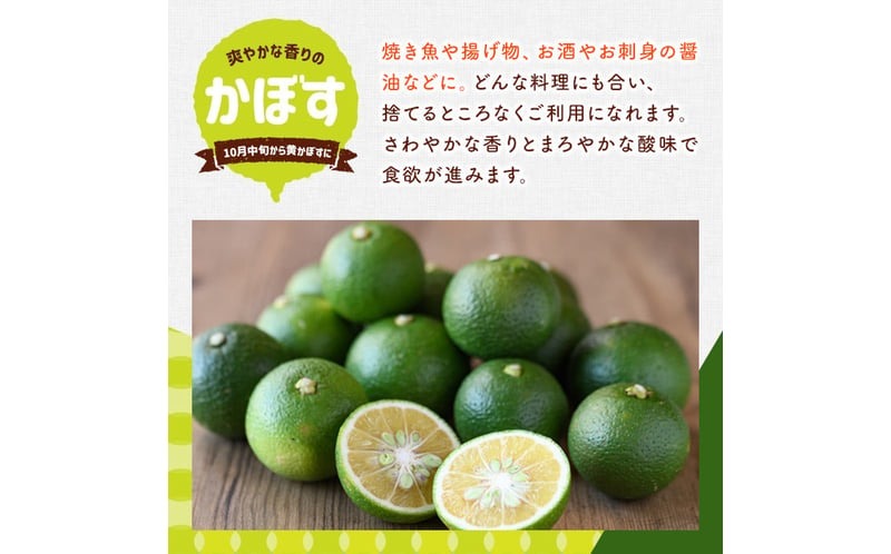 露地カボス(約8kg)かぼす カボス 柑橘 特産品 大分県産【107100702】【あいはな農園】