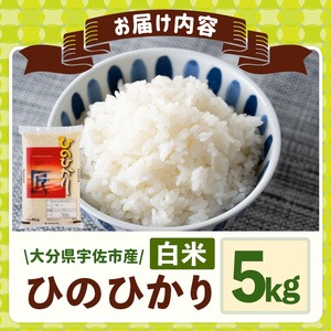 ＜令和7年産・新米＞ひのひかり 白米 (5kg) お米 ごはん ご飯【107101002】【あいはな農園】