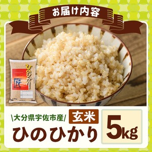 ＜令和7年産・新米＞ひのひかり 玄米 (5kg) お米 ごはん ご飯【107101302】【あいはな農園】