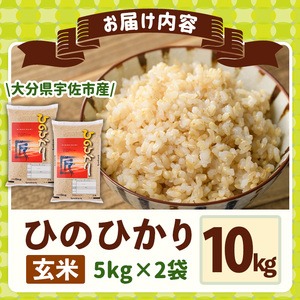 ＜令和7年産・新米＞ひのひかり 玄米 (計10kg・5kg×2P) お米 ごはん ご飯【107101402】【あいはな農園】