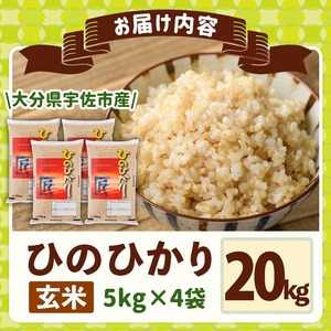 ＜令和7年産・新米＞ひのひかり 玄米 (計20kg・5kg×4P) お米 ごはん ご飯【107101502】【あいはな農園】