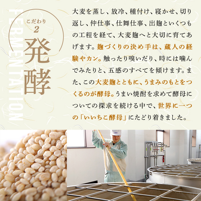 いいちこ下町のハイボール缶(計8.4L・350ml×24本)酒 お酒 いいちこ ハイボール アルコール 飲料 常温【107300700】【時枝酒店】