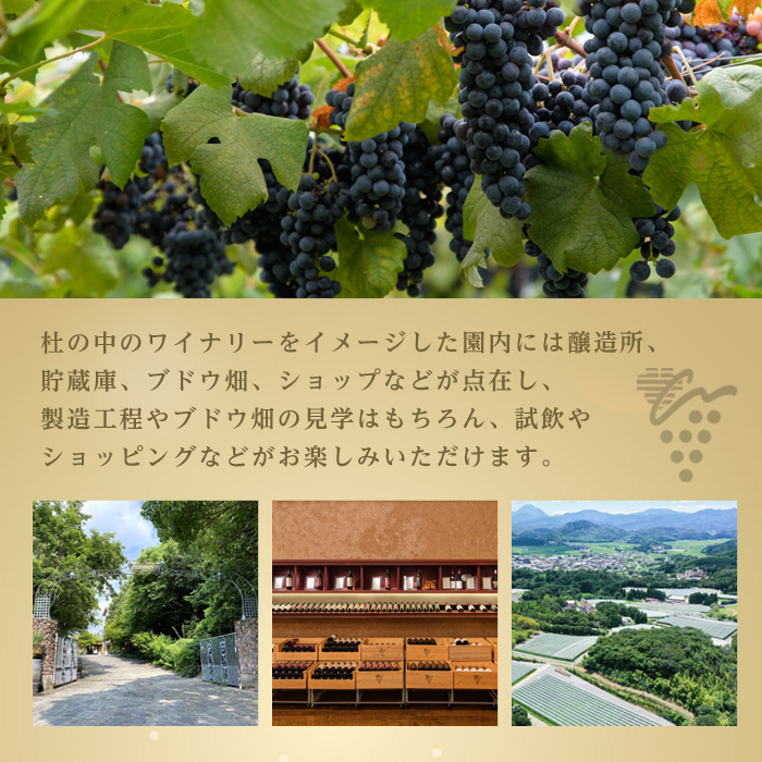 安心院スパークリングワイン 極果(熟成白)(750ml)酒 お酒 ワイン スパークリングワイン ぶどう 葡萄【107305200】【時枝酒店】