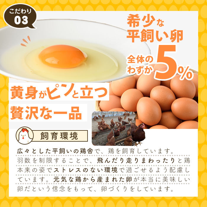 平飼い卵 なちゅら(計60個・10個×6P) 卵 玉子 鶏卵 卵かけご飯 玉子焼き【108800500】【カジワラファーム】