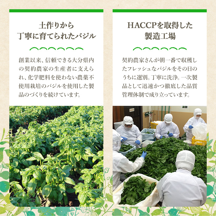 ファインド・ニューズ＜バジル&マスタード＞スペシャルセレクトセット(合計240g・4種)調味料 ソース バジル マスタード バーニャカウダ セット【109300100】【ファインド・ニューズ】