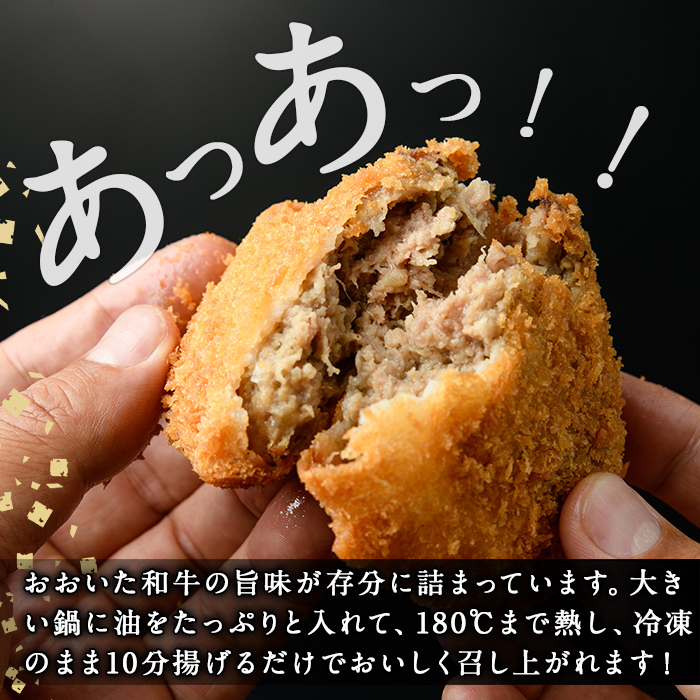 おおいた和牛メンチカツ(計1kg・100g×10個) 牛肉 お肉 メンチカツ 惣菜 揚げるだけ 簡単調理 手作り おかず お弁当 おおいた和牛 和牛【110200100】【吉野】