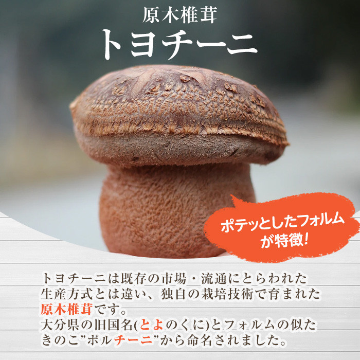 トヨチーニペースト プレーン・バジル(各1個・合計180g) 椎茸 しいたけ シイタケ 調味料 ディップソース バゲット パスタソース 【110300701】【松重　拓志】